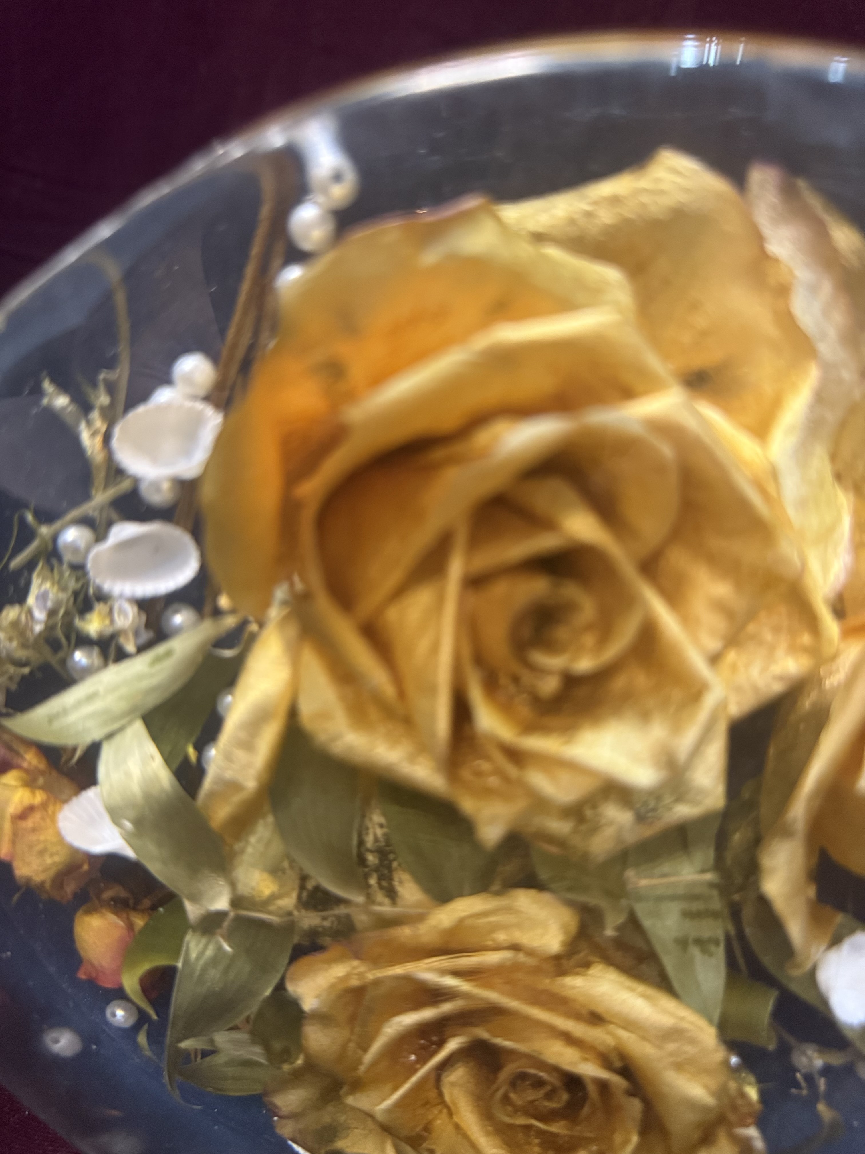 6" circle flower Preservation