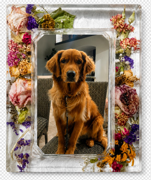 Pressed Bloom Resin Photo Frame - 8" × 12"